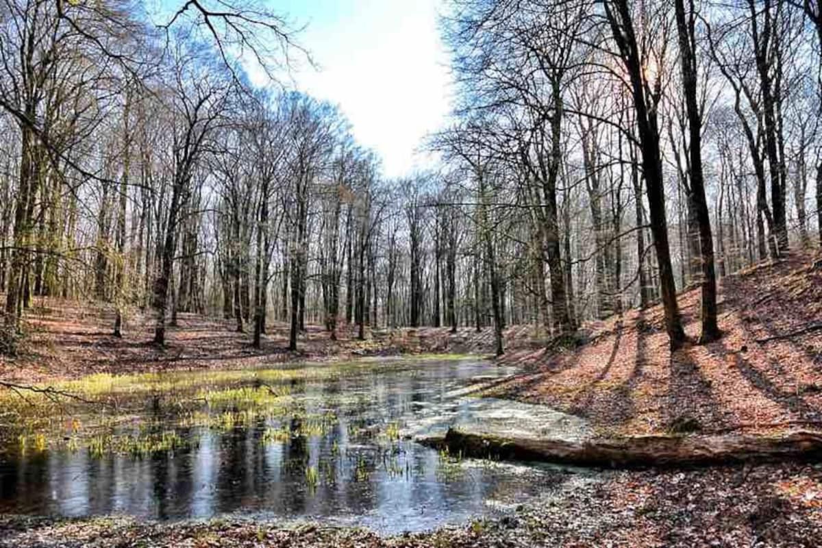 Villa De Eekhoorn Putten Esterno foto